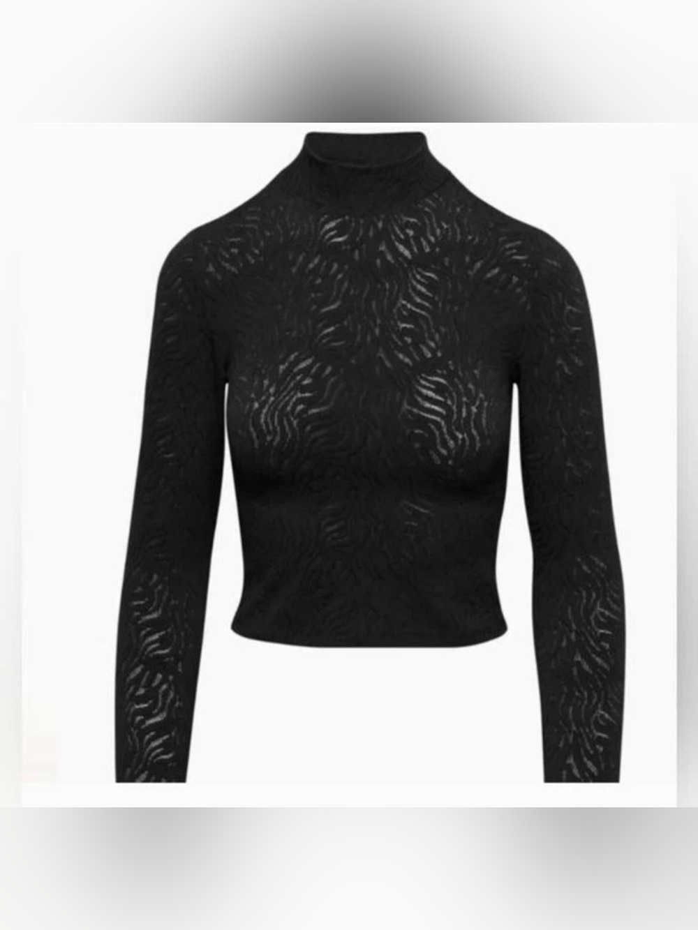 Aritzia Babaton Shapelace Mockneck Longsleeve